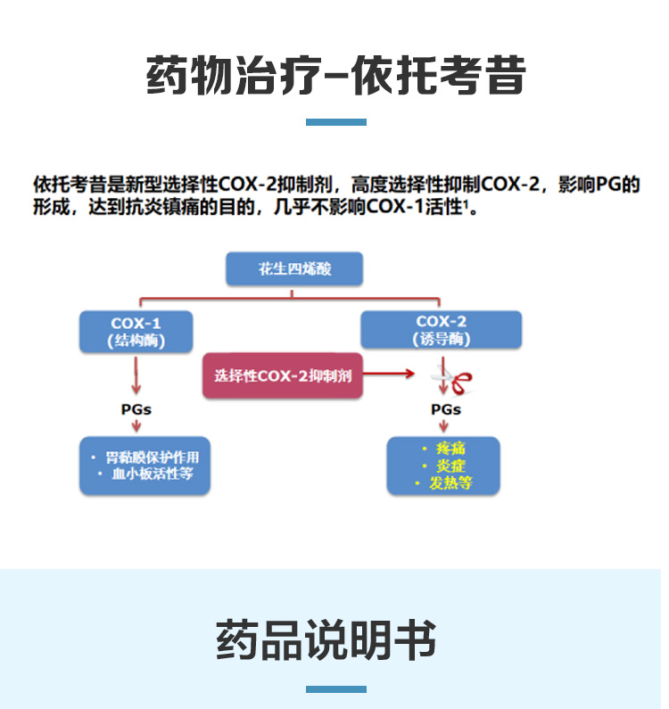 依托考昔片安康信