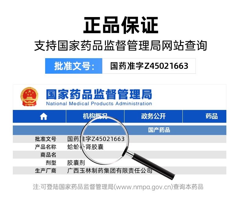 蛤蚧补肾胶囊(玉林)