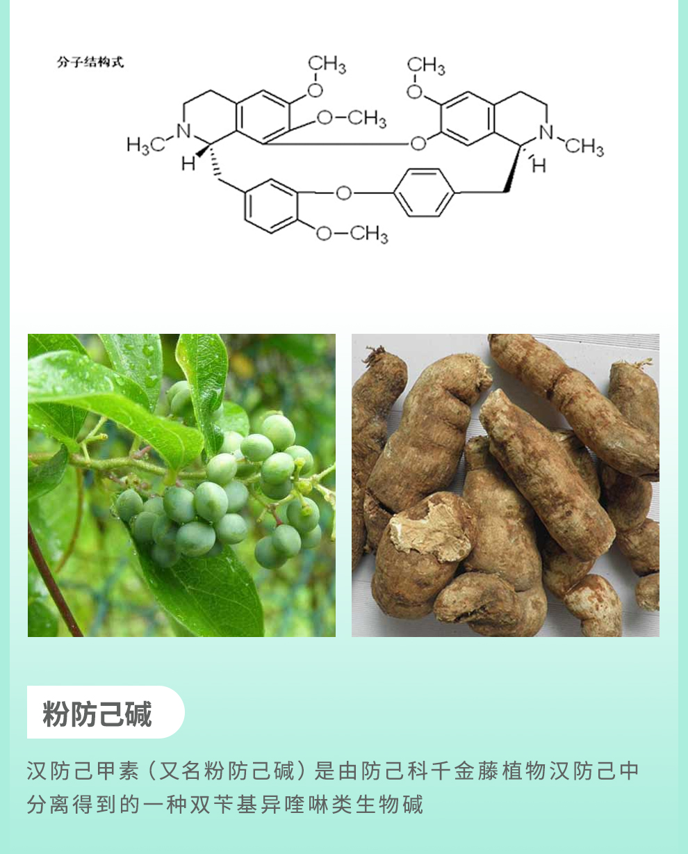 汉防己甲素片(金艾康)