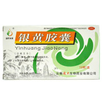 银黄胶囊(滇珍本草)
