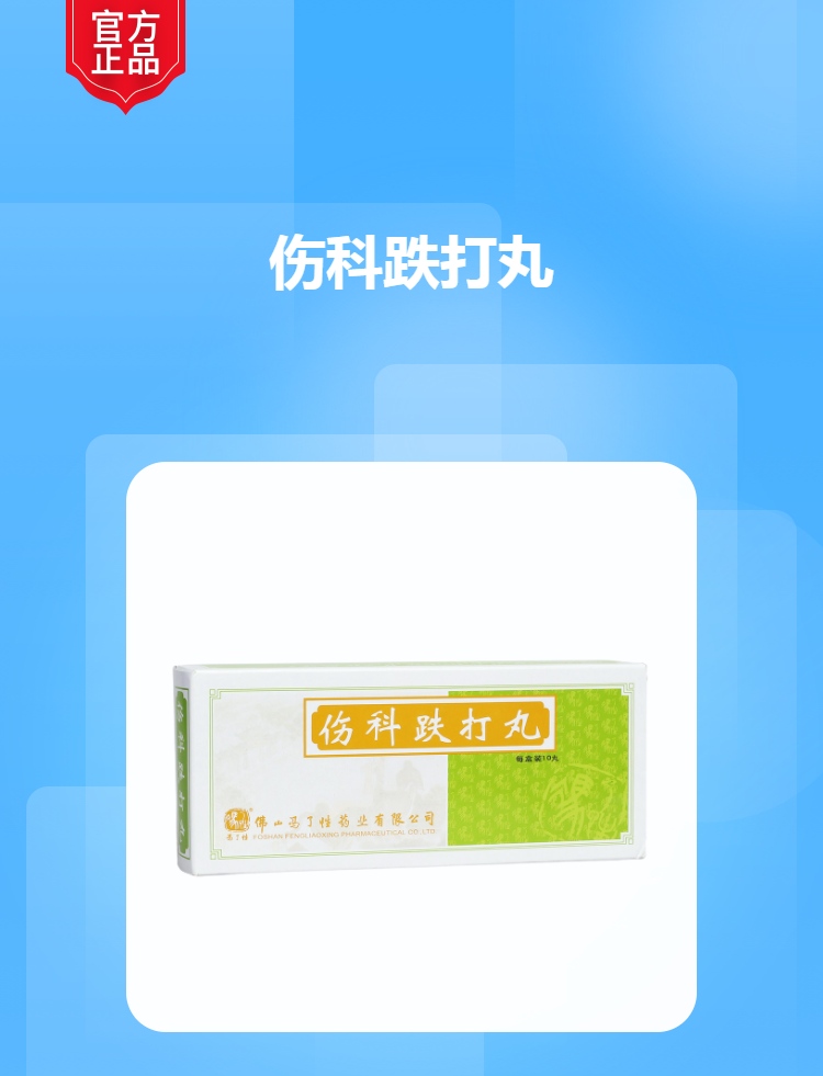 伤科跌打丸(冯了性)