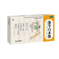 参苓白术散(修正)