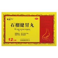 石榴健胃丸(奇正)