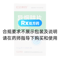 异烟肼片(红云制药)