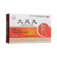 大风丸(卢医山)