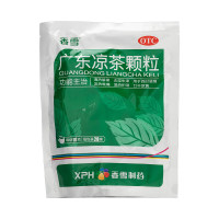 广东凉茶颗粒(香雪)