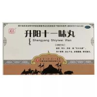 升阳十一味丸(安友)