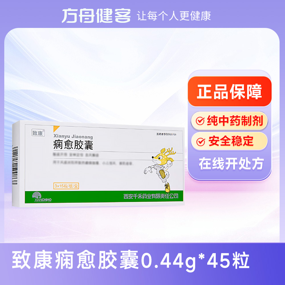 痫愈胶囊(致康)