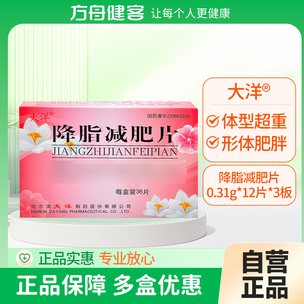 降脂减肥片(大洋)