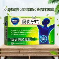 肠炎宁片