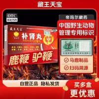 补肾丸(藏王天宝)