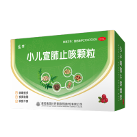 小儿宣肺止咳颗粒(龙牡)