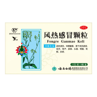 风热感冒颗粒(云南白药)