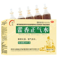 藿香正气水(府庆)