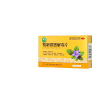 精制银翘解毒片(普正)