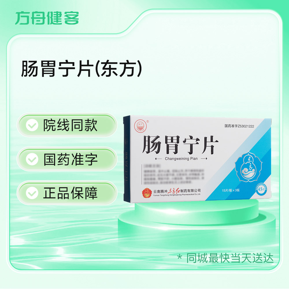 肠胃宁片(东方红)
