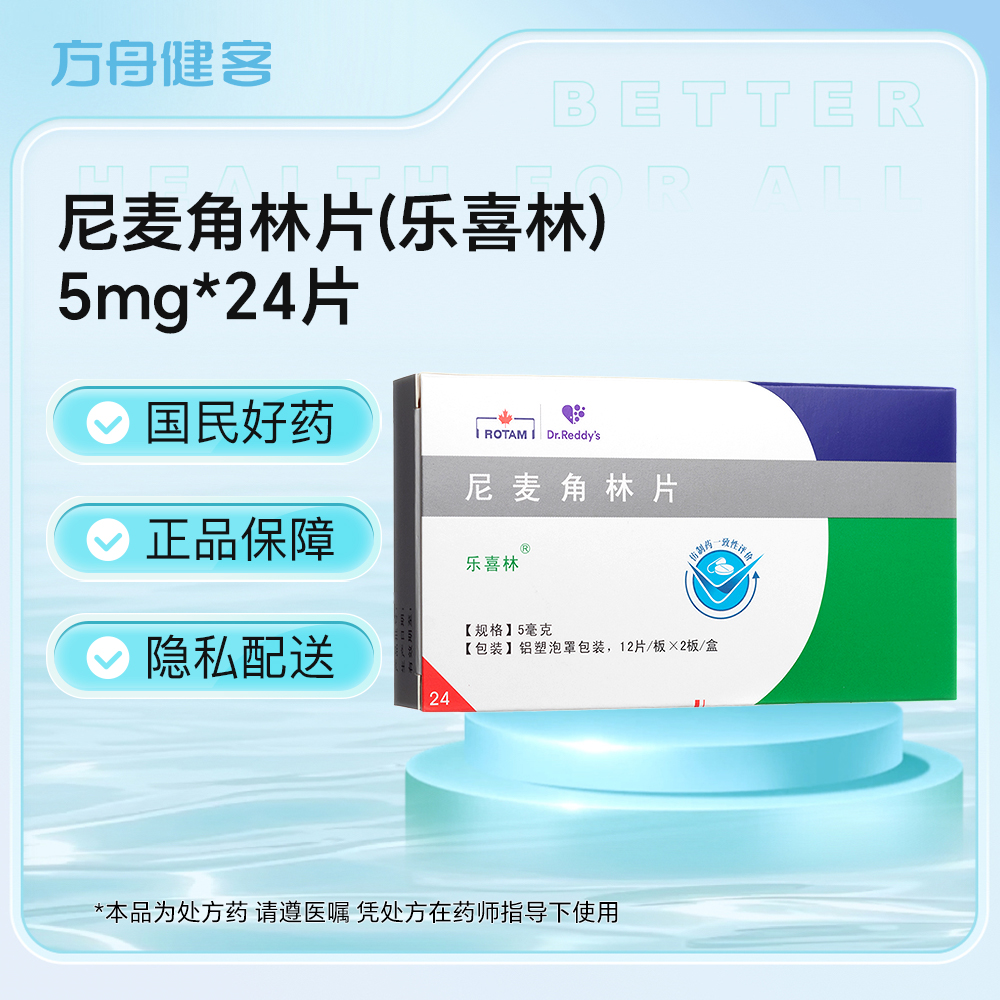 尼麦角林片(乐喜林)