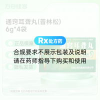 通窍耳聋丸(普林松)