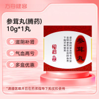 参茸丸(腾药)