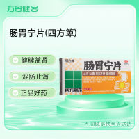 肠胃宁片