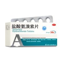 盐酸氨溴索片(其他)