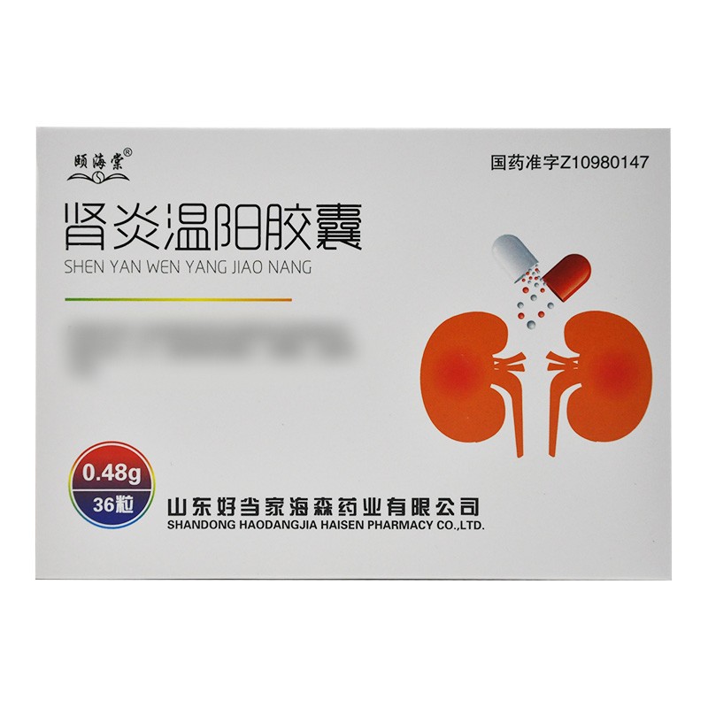 肾炎温阳胶囊