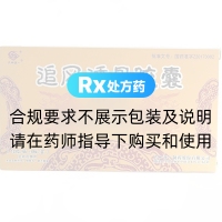 追风透骨胶囊(天地恒一)