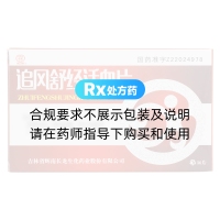 追风舒经活血片(长龙)