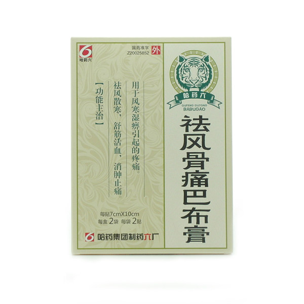 祛风骨痛巴布膏哈药六