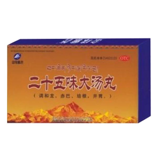 二十五味大汤丸