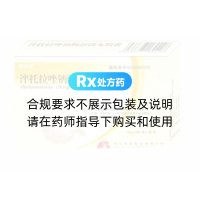 泮托拉唑鈉腸溶微丸膠囊