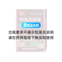 附桂风湿膏(优仁堂)