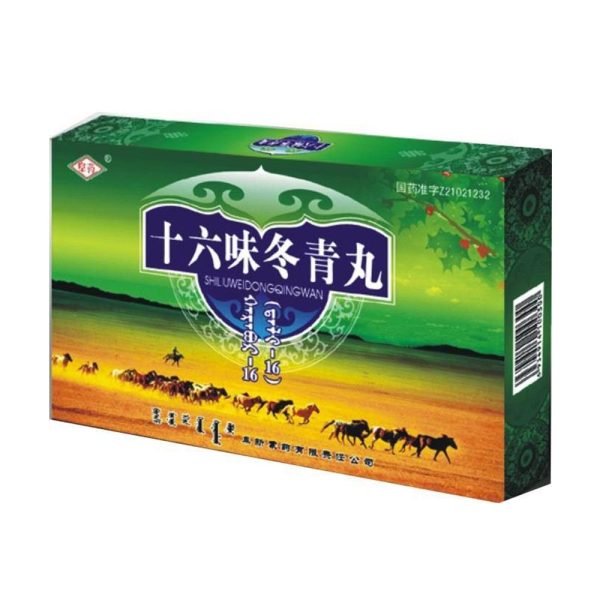 十六味冬青丸