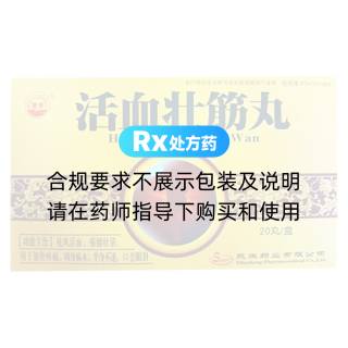 活血壮筋丸