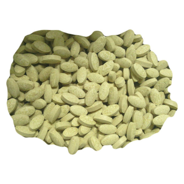 复真药业蛹虫草片