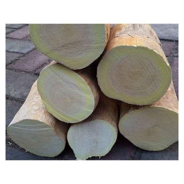 兴盟东革阿里原树根