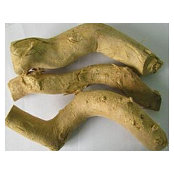 倍健野生东革阿里原根