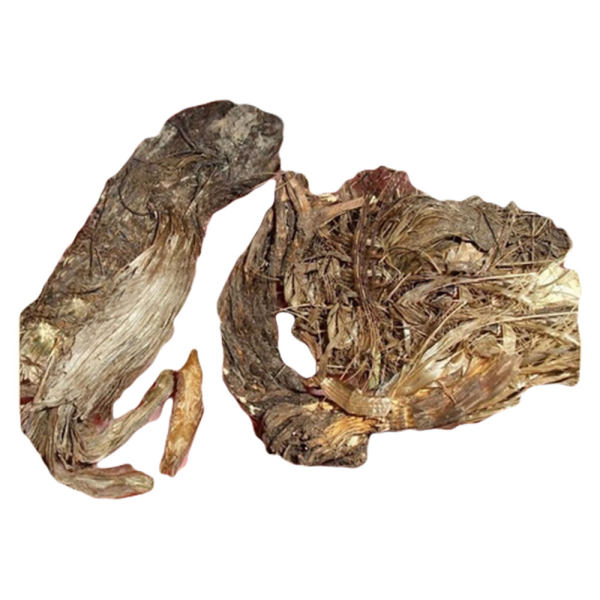 西部物语 雪莲根