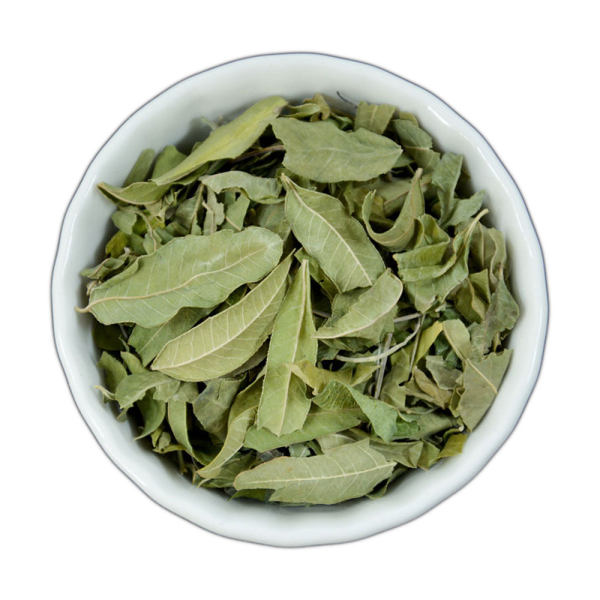 七芝堂花草茶罗布麻100克