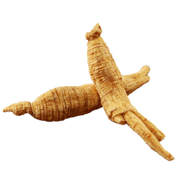 礼顺堂西洋参花旗参原枝100克