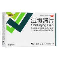 湿毒清片(诺金)
