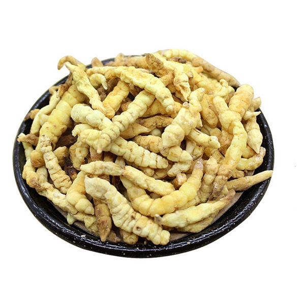 地蚕(选条)(元德)