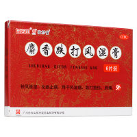麝香跌打风湿膏(白云山)