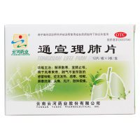 通宣理肺片(云河药业)
